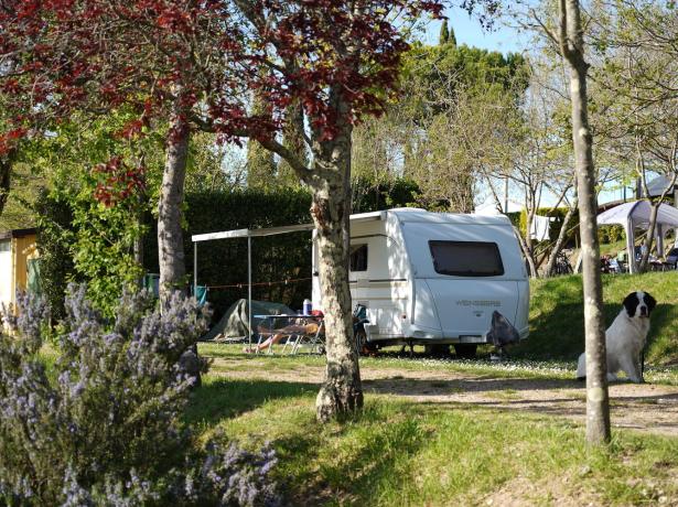 campingchianti fr offre-camping-chianti-pour-couples-avec-piscine 007