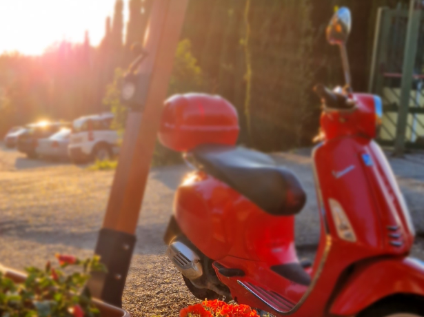 Vespa rossa al tramonto, fiori e cipressi.