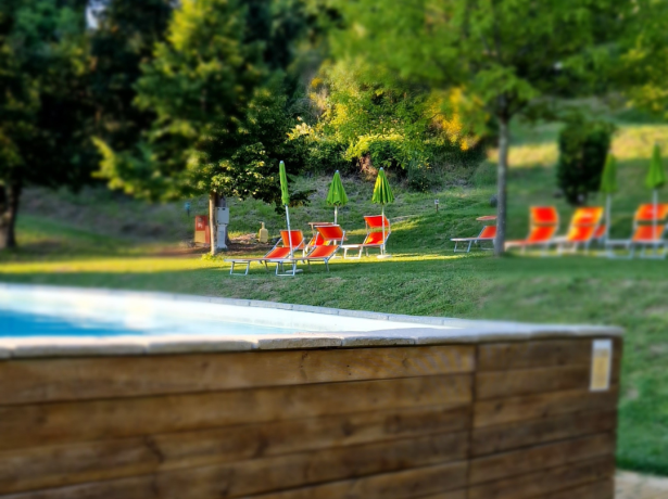Piscina all'aperto con sedie a sdraio e alberi.