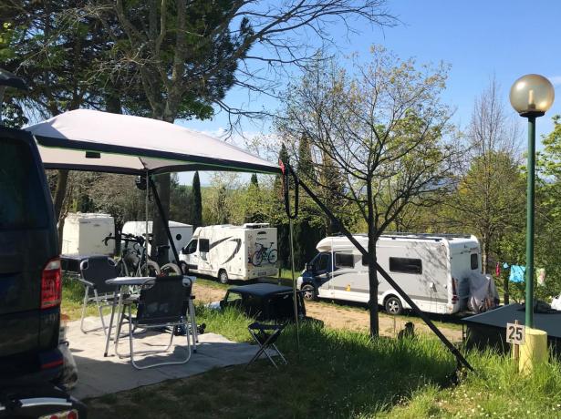 campingchianti en early-booking-offer-campsite-in-chianti-in-tuscany 009