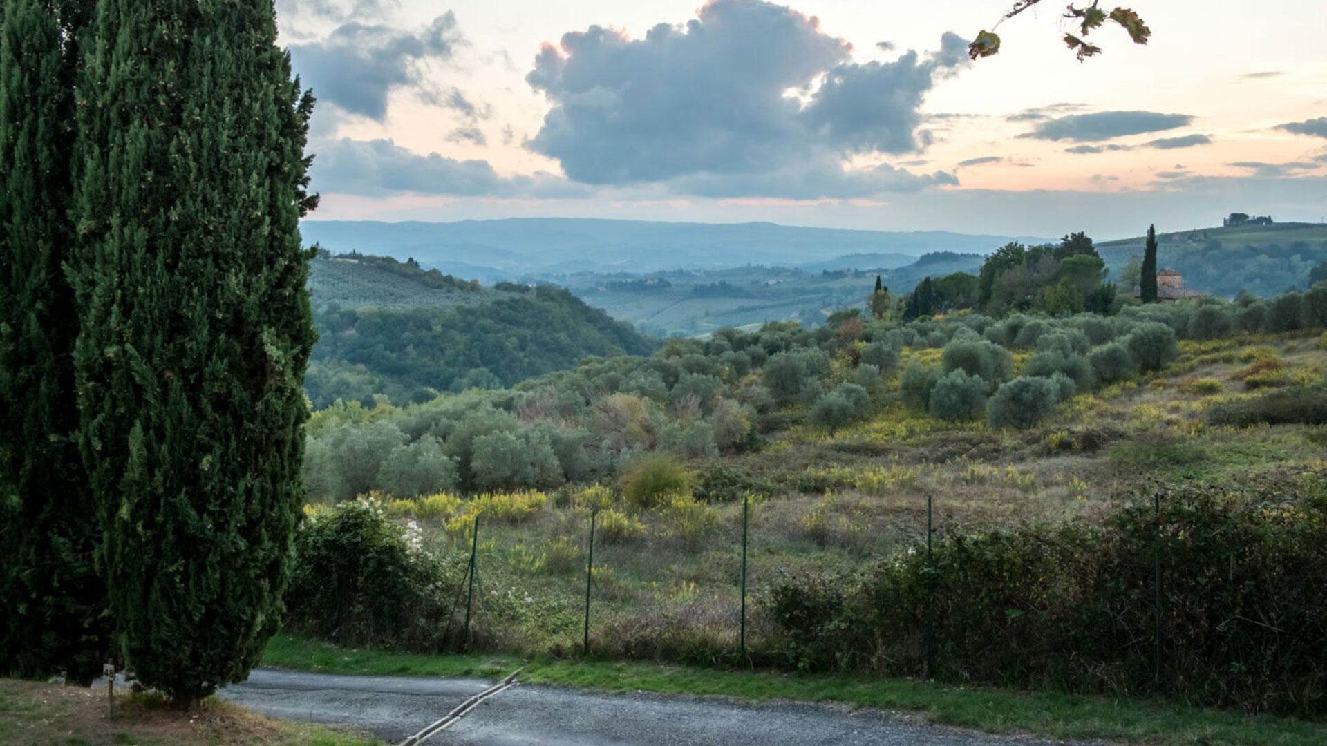 Hilly landscape at sunset with green trees and bushes.