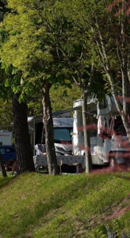 Camper vans parked among trees in a green area.