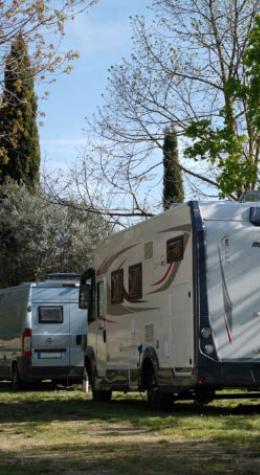 Campers parked in a green area with trees.