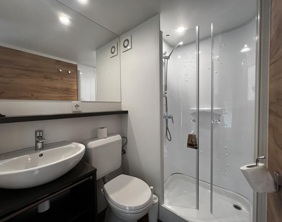Modern bathroom with shower, sink, plants, and accessories.